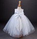 Girls Crystal & Tulle Dress - Abbie by Millie Grace