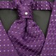 Boys Grey & Purple 6 Piece Slim Fit Suit