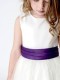 Girls Cadbury Purple & Ivory Organza Diamante Dress