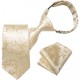Boys Champagne Gold Floral Silk Neck Tie & Pocket Square