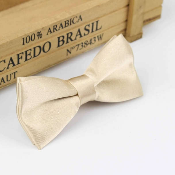 champagne coloured bow tie