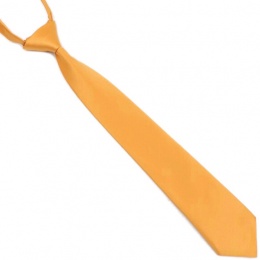 Boys Antique Gold Silk Effect Adjustable Skinny Tie