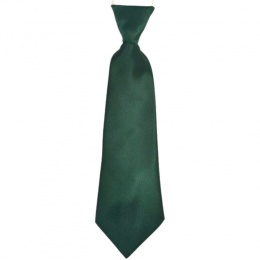 Boys Dark Green Plain Satin Tie on Elastic