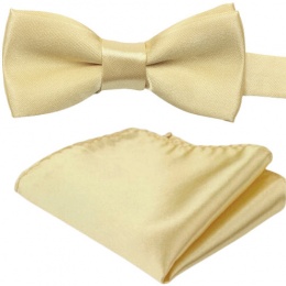 Boys Gold Satin Adjustable Dickie Bow & Pocket Square