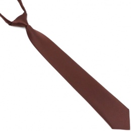 Boys Brown Silk Effect Adjustable Skinny Tie