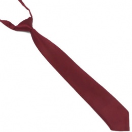 Boys Burgundy Silk Effect Adjustable Skinny Tie