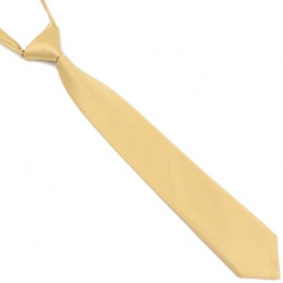 Boys Gold Silk Effect Adjustable Skinny Tie