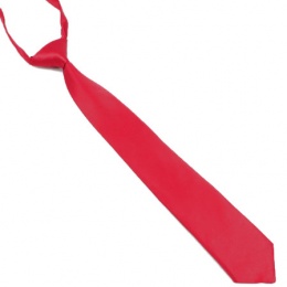 Boys Rose Red Silk Effect Adjustable Skinny Tie